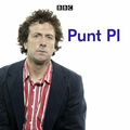 Punt PI